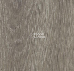 Кварцвиниловые полы Forbo Allura Click 60280CL5 grey giant oak фото 1 | FLOORDEALER